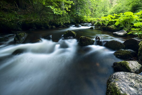 Haslach Gorge