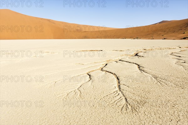 Water veins in the dry soil