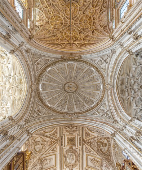 Vaulted ceiling decorated with stucco and gold