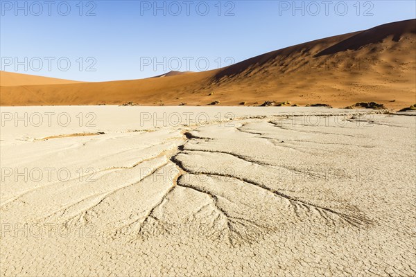 Water veins in the dry soil