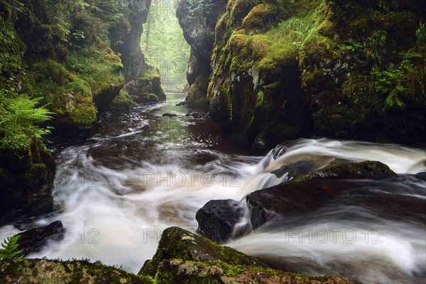Haslach Gorge