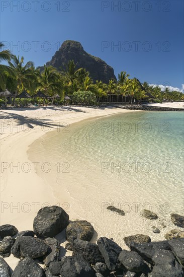 Beach with palm trees