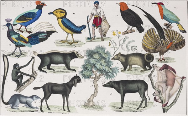 Zone Paintings South Asia