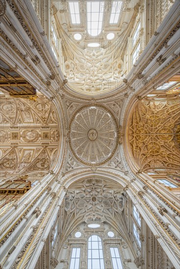 Vaulted ceiling decorated with stucco and gold