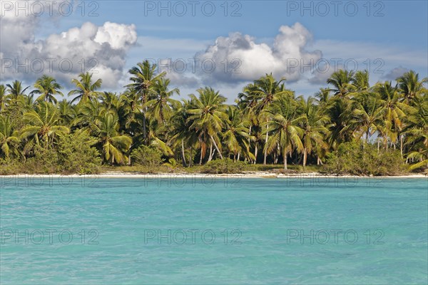 Dream beach