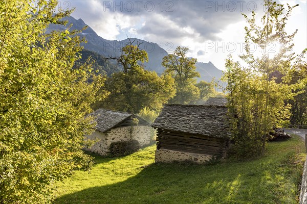Drying houses for chestnuts in the chestnut grove