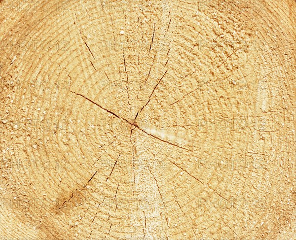 Log