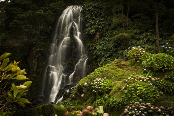 Waterfall