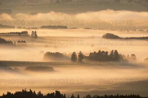 Morning fog