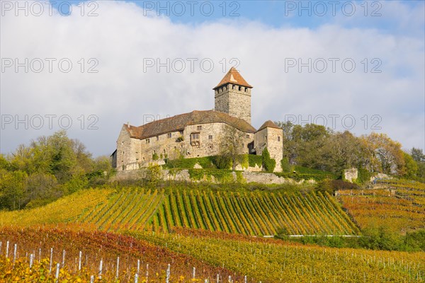 Castle Lichtenberg
