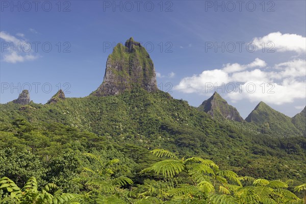 View from Belvedere vantage point