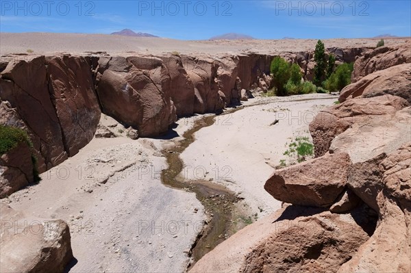 River bed with little green vegetation