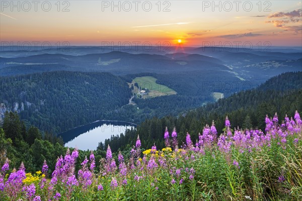 View from Feldberg mountain to lake Feldsee