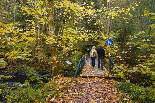 Bridge over Ilz