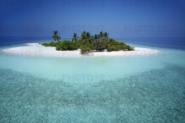 Uninhabited palm island with sandy beach