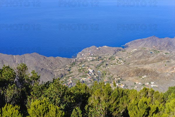 Alojera