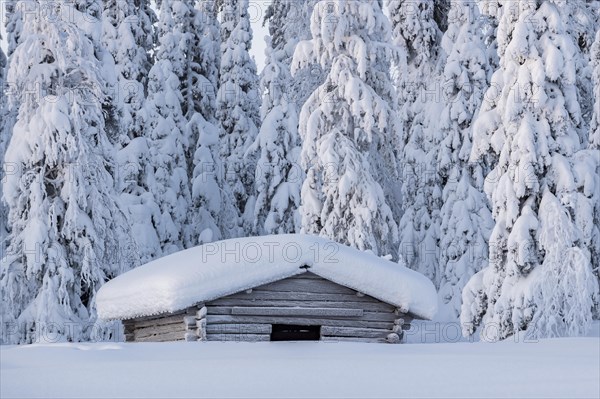 Snow-covered hut in winter landscape