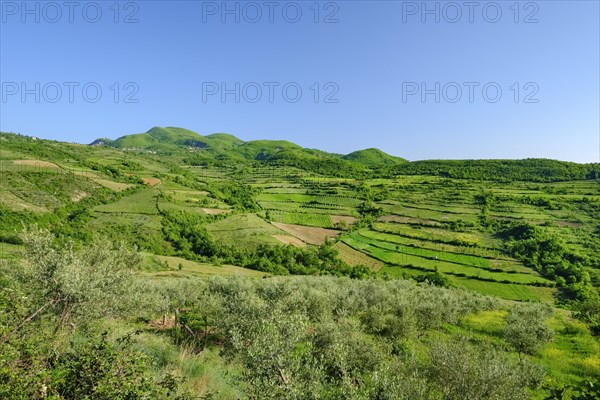 Shpati mountains around Shelcan
