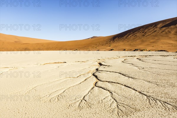 Water veins in the dry soil