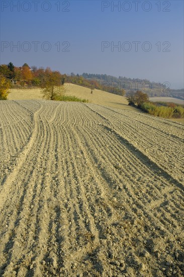 Harvested fields in autumn