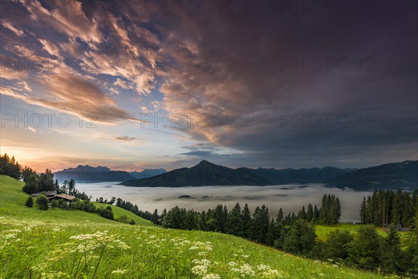 Mountain meadow with mountain top with sea of fog at sunrise