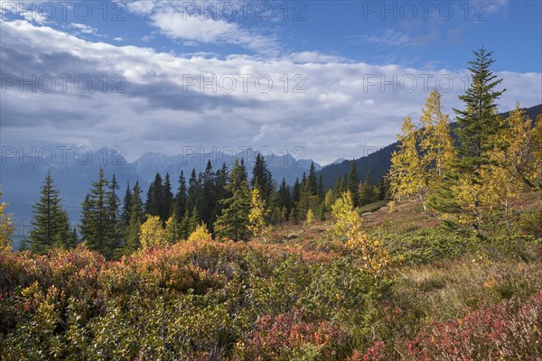 Naunz in autumn