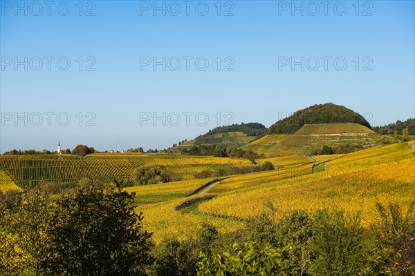 Winzerdorf and cultural landscape in autumn