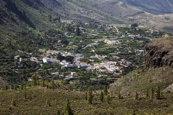 View of the Barranco de Fataga and Fataga