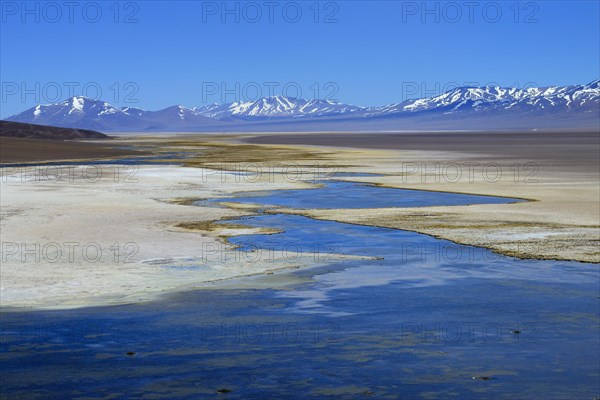 Laguna Santa Rosa with the Nevado Tres Cruces volcano