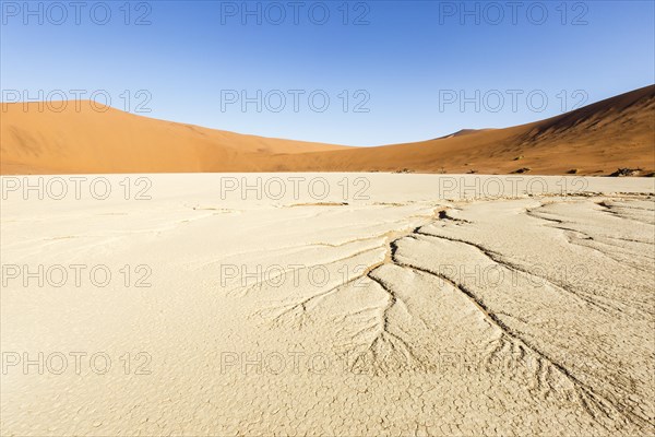 Water veins in the dry soil
