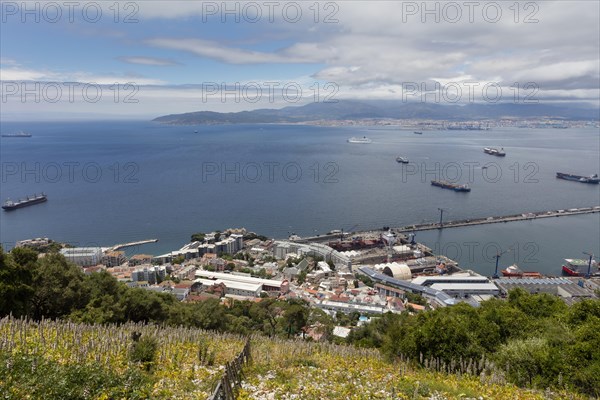 Harbor