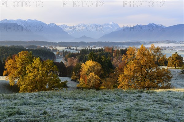 View from Aidlinger Hohe to Estergebirge
