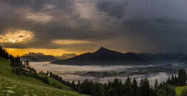 Mountain meadow with mountain top with sea of fog at sunrise