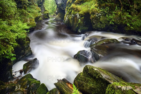 Haslach Gorge