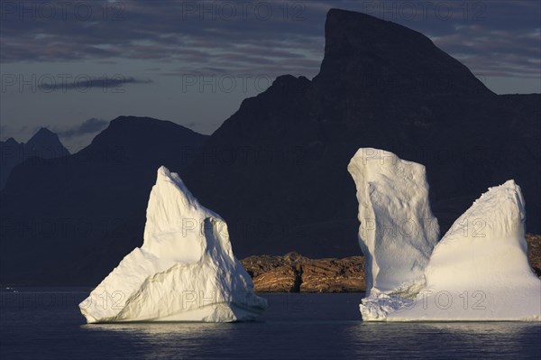Icebergs in the evening light
