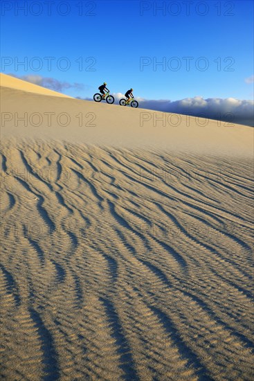 Cycling tour with fatbikes at Die Plaat Beach