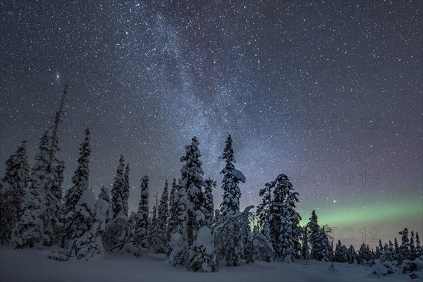 Starry sky with Milky Way and northern lights over snow-covered trees