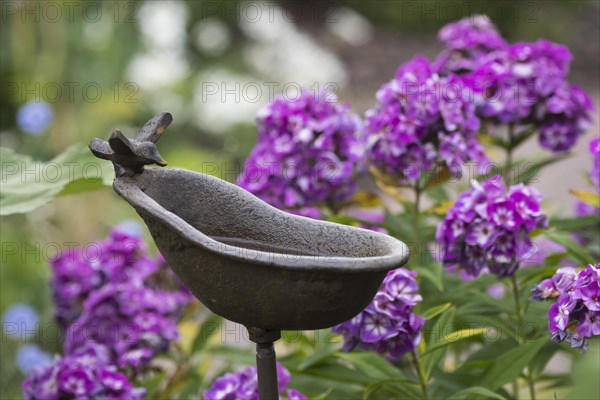 Birdbath in a garden