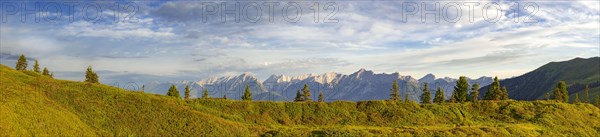Mountain landscape with individual trees on the Kleiner Gamsstein