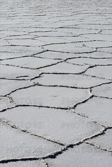Honeycomb structure on the salt lake
