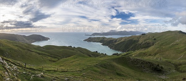 View of meadows and rocky coast at French Pass