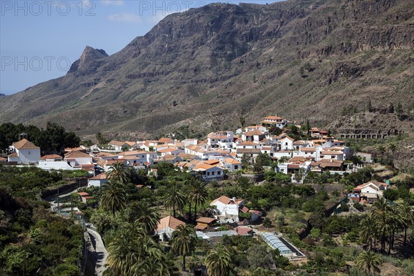Mountain village Fataga