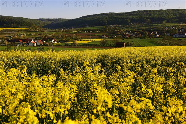 Trubachtal near Wannbach
