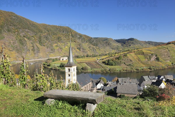Vineyard at Moselleschleife near Bremm