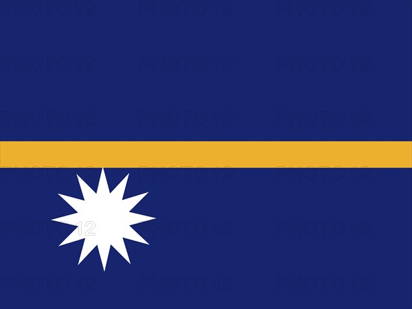 Official national flag of Nauru