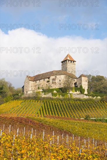 Castle Lichtenberg