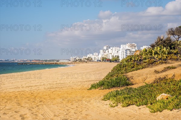 Wide sand beach with apartement resorts