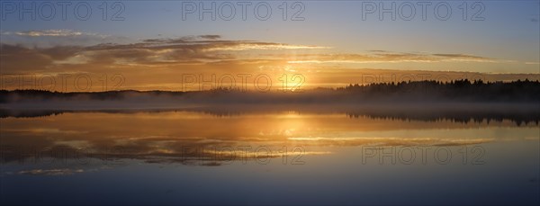 Dawn