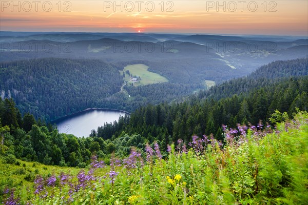 View from Feldberg mountain to lake Feldsee