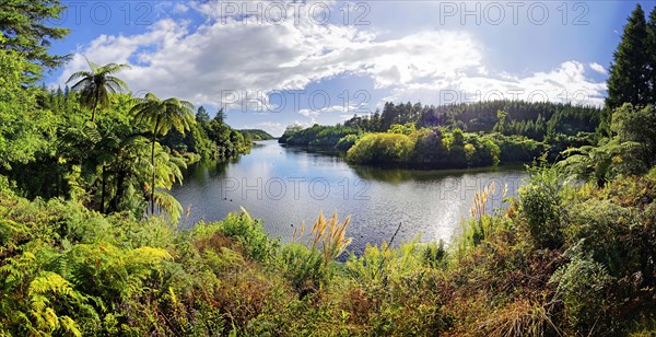 Idyllic lake in the middle of tropical rainforest